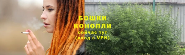 первитин Ельня