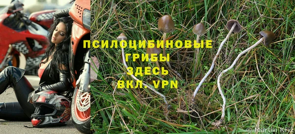 2c-b Струнино