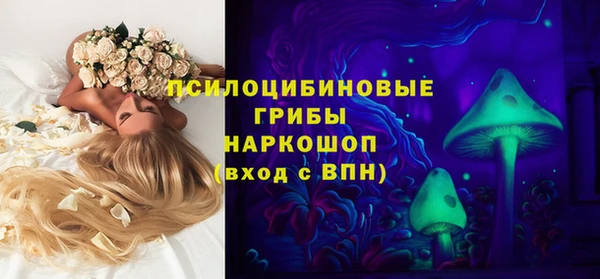 прущий лед Елабуга