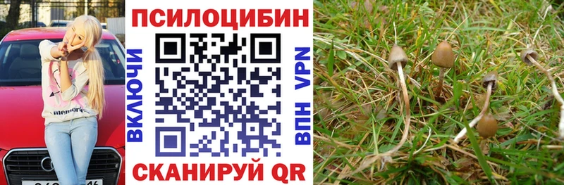 Галлюциногенные грибы Magic Shrooms Лабытнанги